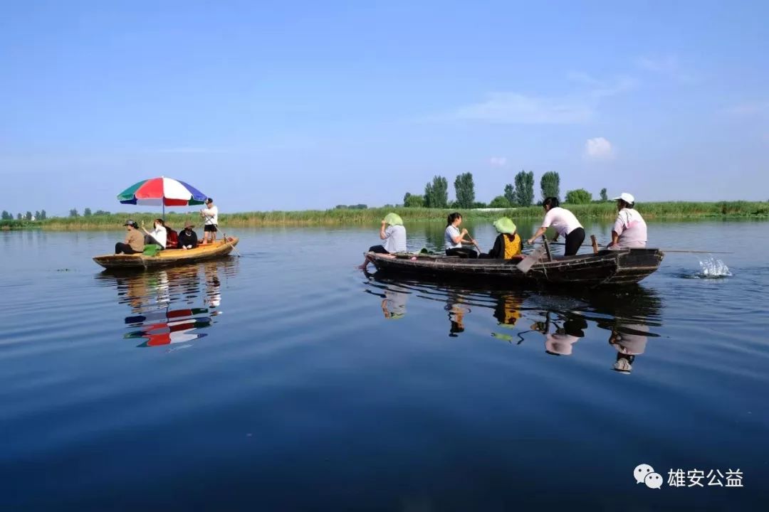 保定雄縣振華撒網(wǎng)直播，自然美景探索之旅直播盛宴