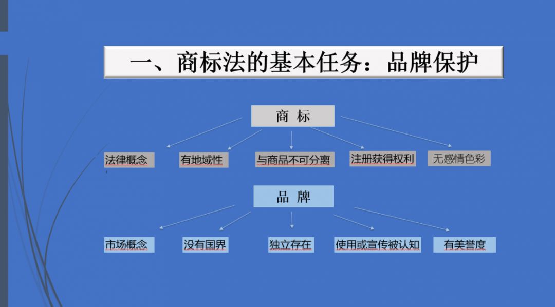 理化直播，探索教育新模式之路