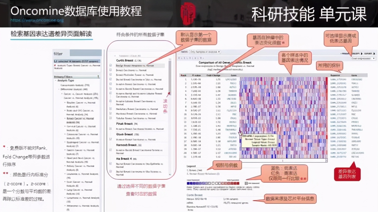 葉欣妍 第3頁