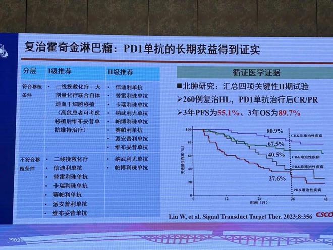 2024澳門免費(fèi)料庫精準(zhǔn)指南，策略解析攻略_IKD清新版