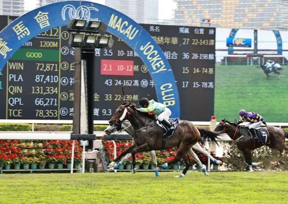 澳門云市場解析：VVP68.676特別版馬會傳真