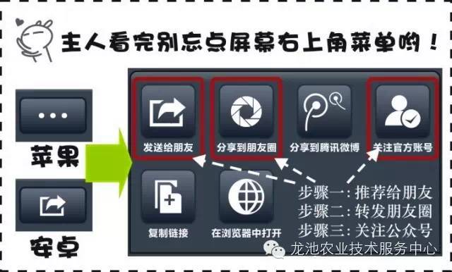 2024新澳正版資料免費分享，詳盡解析與實施指南_WSL 4.73.26專用版