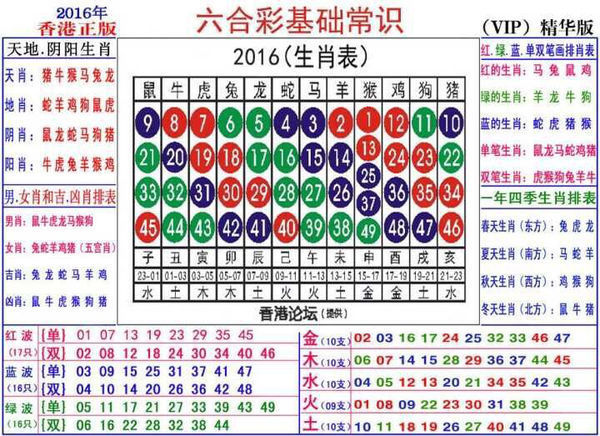 2024生肖49碼策略圖表，精巧布局FKX7.65.89管控版