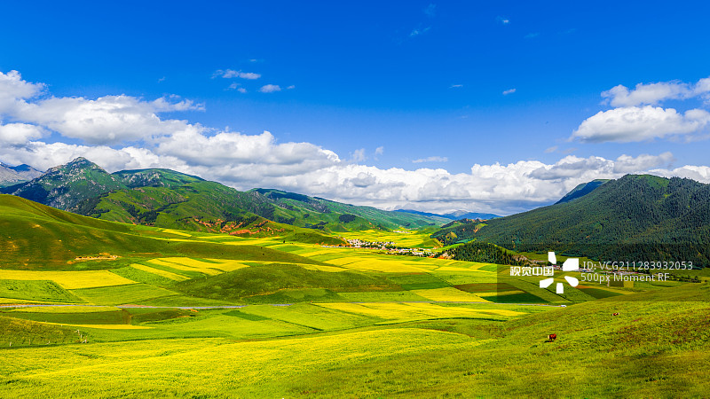 蔡成直播，與自然美景的邂逅，探索內(nèi)心寧靜之旅