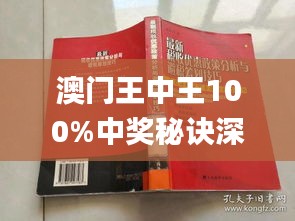 新澳門王中王100%中獎(jiǎng)，頂級精選解析升級版VQU482.13