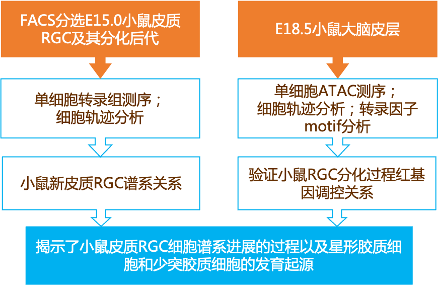 2024正版資料免費(fèi)寶典解讀：安全解析與ALC966超清版功能一覽