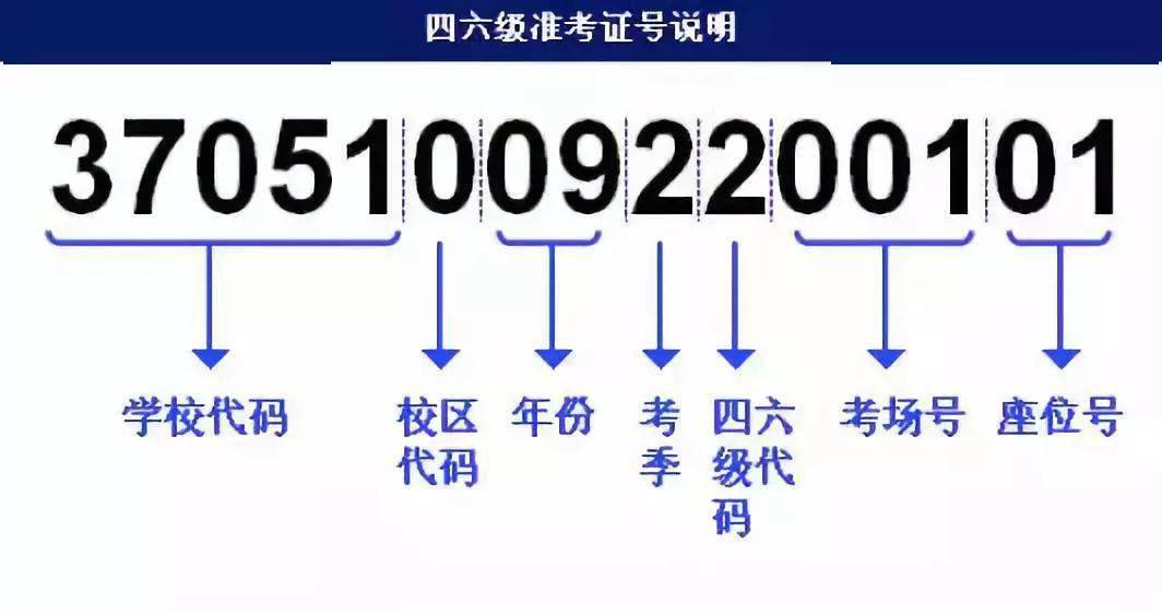 49218.соm查詢新澳開獎(jiǎng)結(jié)果,快速解答方案設(shè)計(jì)_PTH13.729社交版