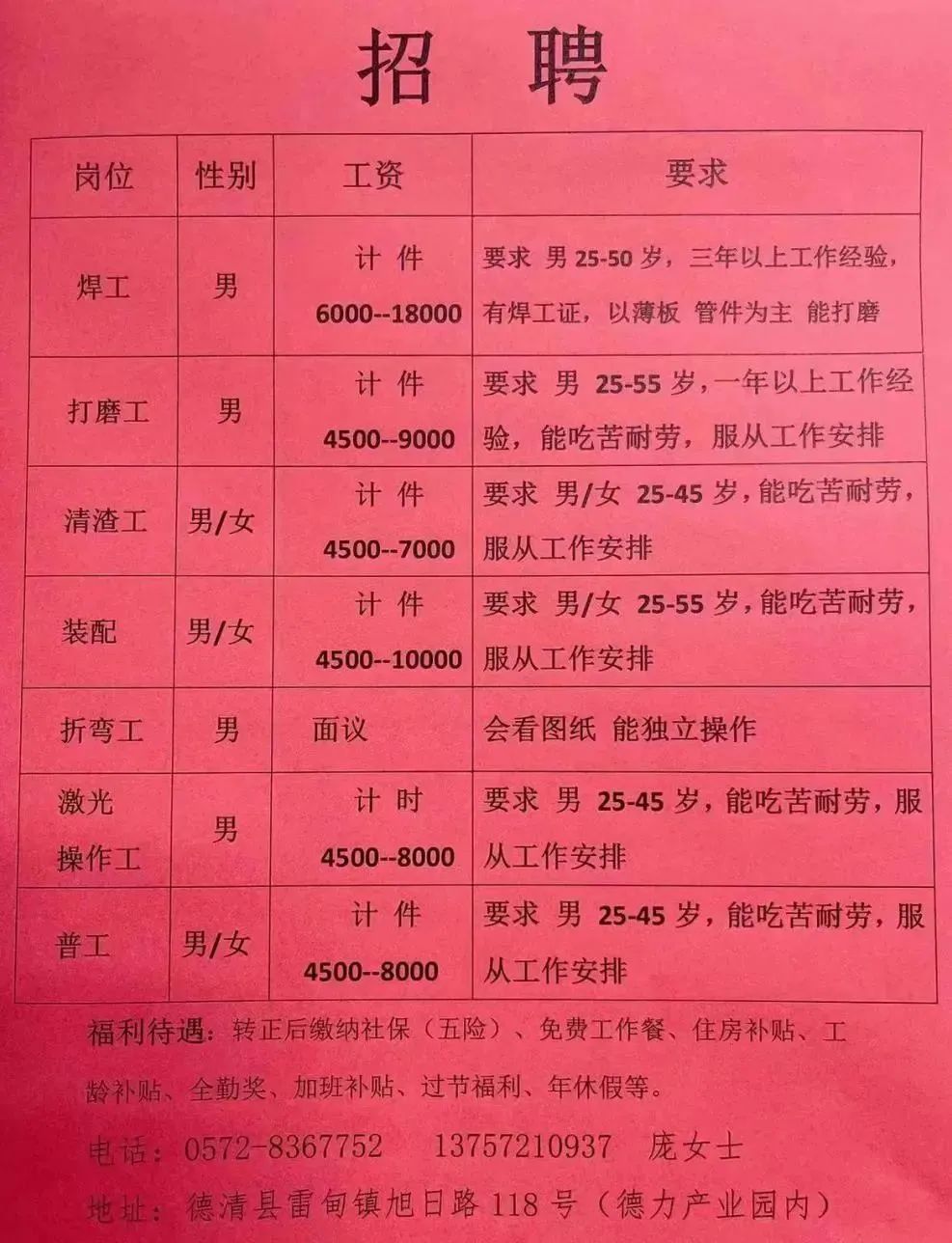 高青企業(yè)最新招工信息，小巷里的隱藏寶藏，探索就業(yè)機(jī)會(huì)！