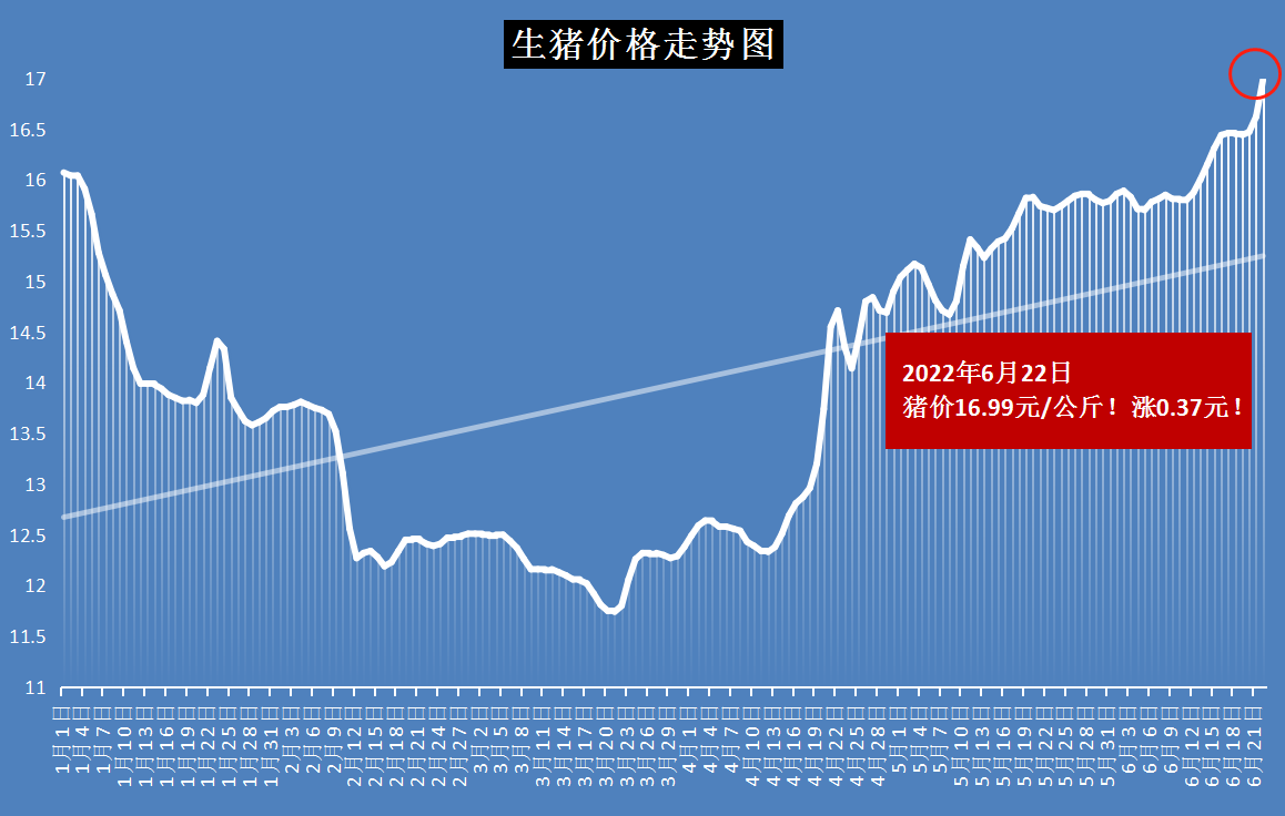 河南生豬價格今日最新動態(tài)，智能畜牧科技引領新紀元