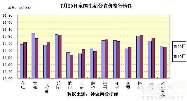 全國(guó)最新生豬價(jià)格走勢(shì)，一場(chǎng)自然美景探索之旅的伴隨變化