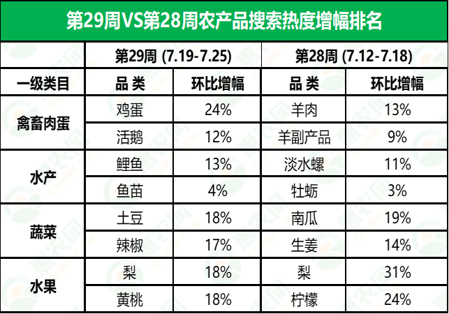 金鄉(xiāng)鮮大蒜最新行情揭秘，小巷深處的蒜香寶藏與價(jià)格走勢(shì)分析