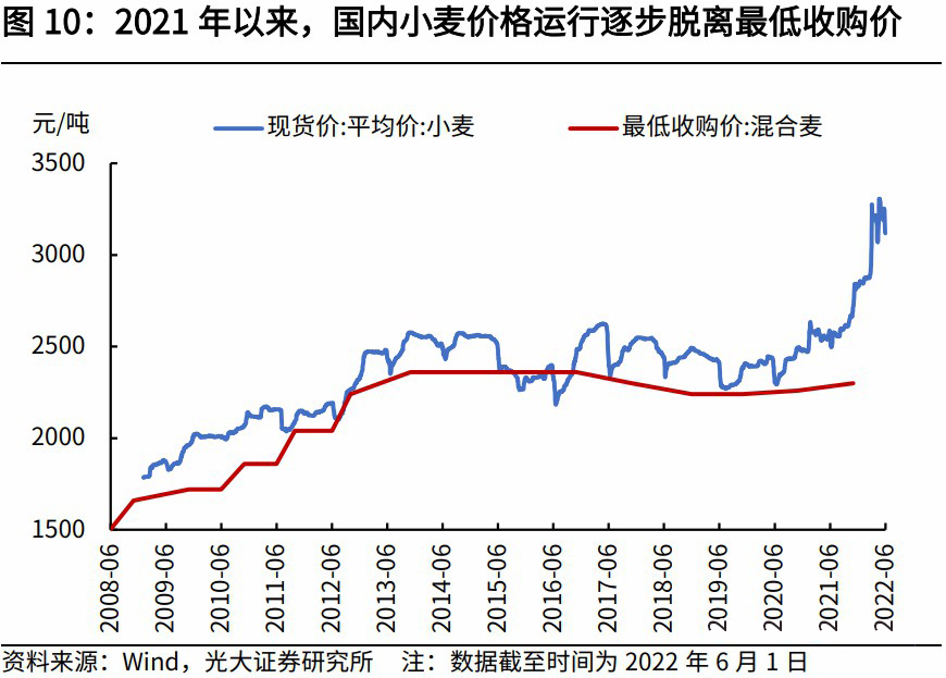 科技引領(lǐng)未來，小麥?zhǔn)袌?chǎng)最新行情分析，洞悉小麥價(jià)格動(dòng)態(tài)