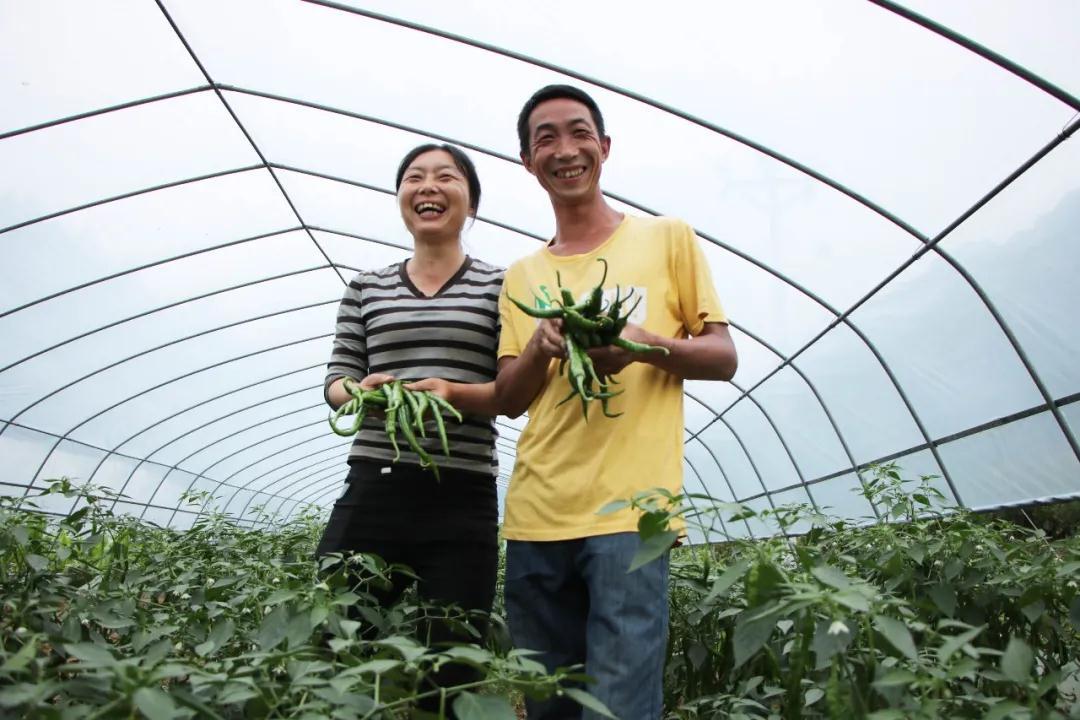 致富經(jīng)最新視頻,致富經(jīng)最新視頻，探索成功的秘訣與財富之路