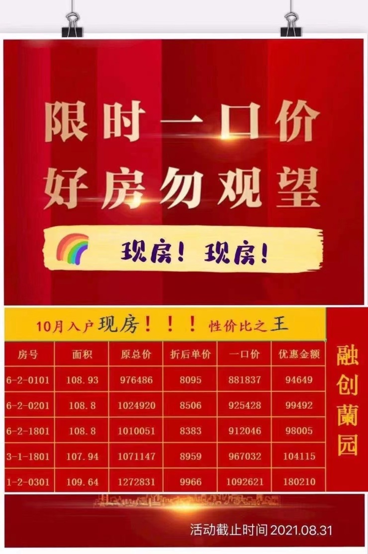 哈慈400044最新公告揭秘，背后的溫馨故事浮出水面