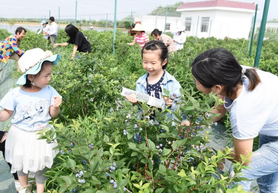 滁州姑塘新村最新房價概況