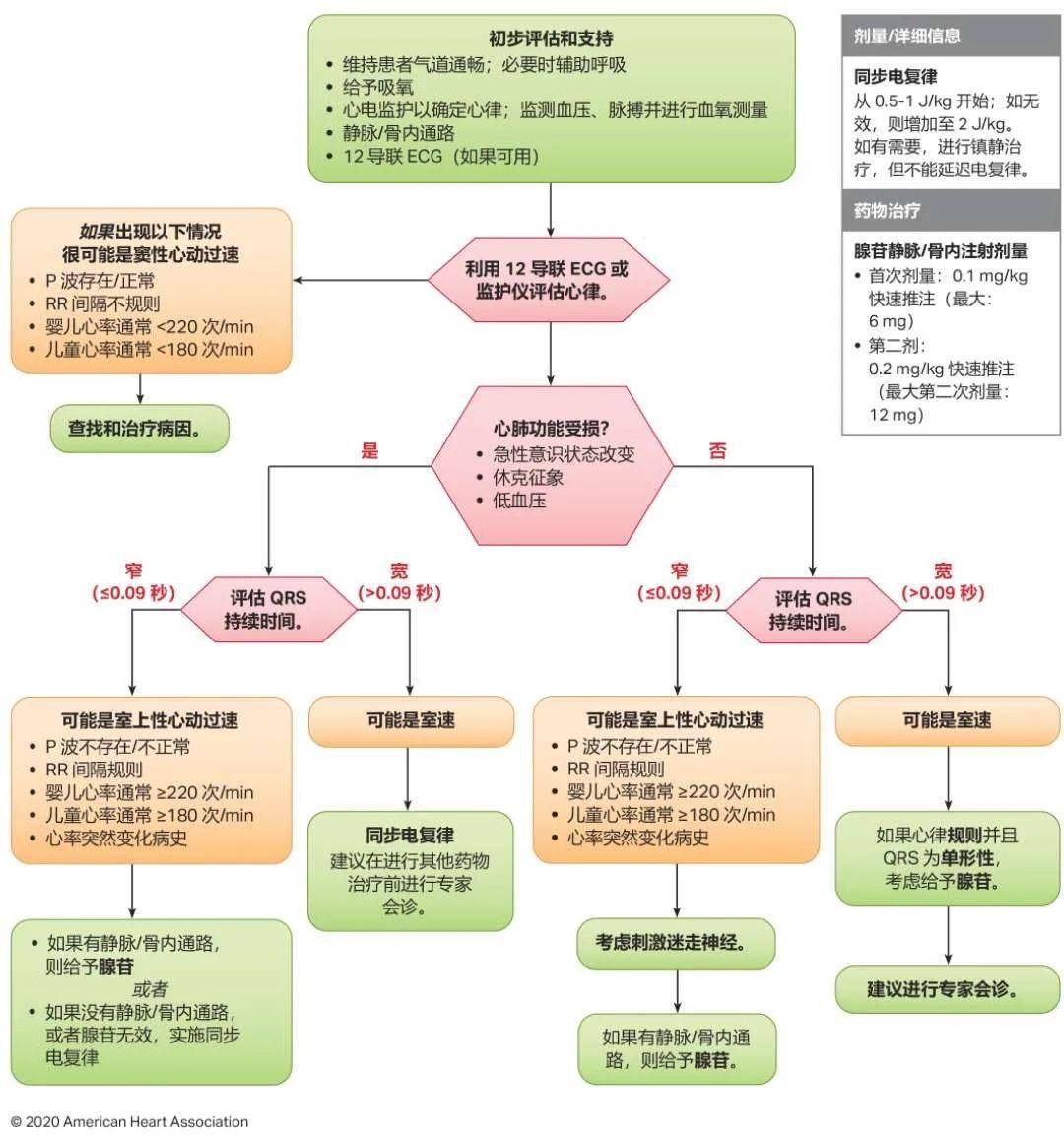 景洪市 第2頁