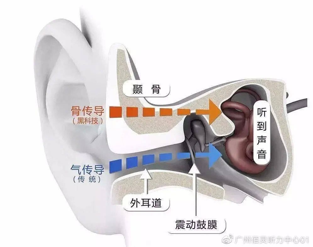 美國耳蝸的秘密，探秘最新款耳蝸耳機之旅