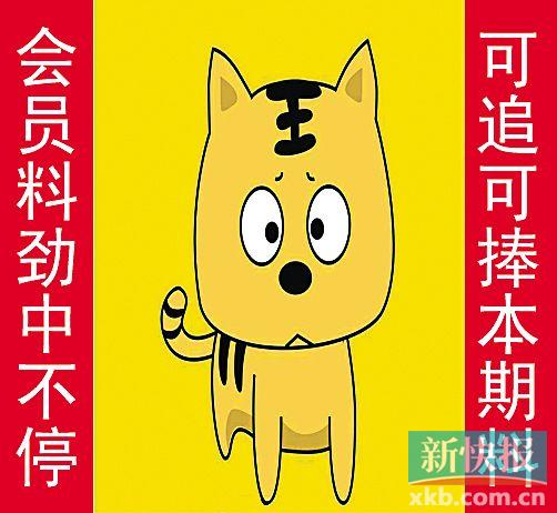 金錢豹自由真功夫最新革新，高科技產(chǎn)品引領(lǐng)未來生活新潮流