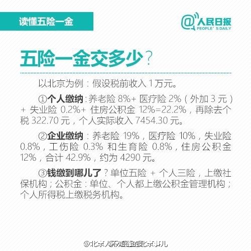 五險最新政策變化解析，力量與自信的源泉