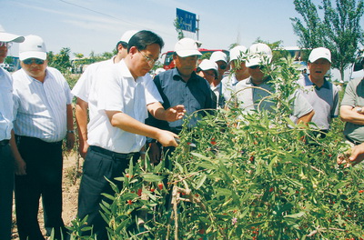 石嘴山蔣文齡，傳奇人物的現(xiàn)代足跡最新信息