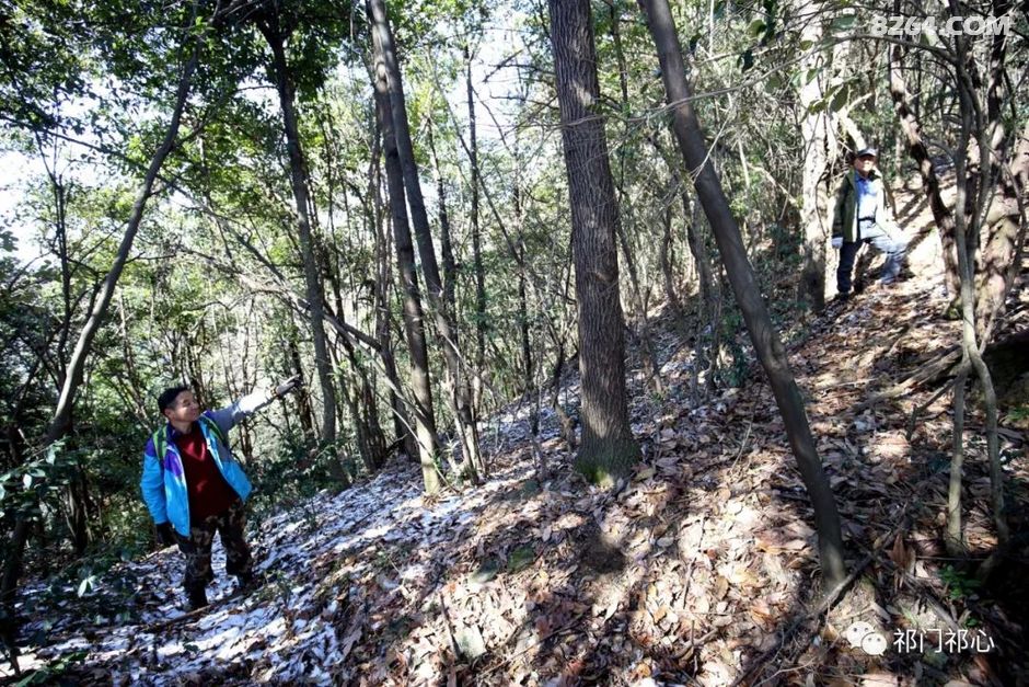 攀登不老山知識高峰，自信閃耀人生之旅