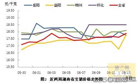 永州豬價行情，科技引領(lǐng)智能養(yǎng)豬新時代！