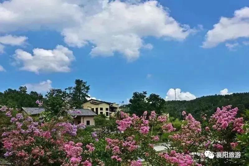 東津高鐵站最新動態(tài),東津高鐵站最新動態(tài)，啟程自然之旅，探尋內(nèi)心之寧靜