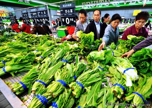 蔬菜行情好,蔬菜行情好的深度論述