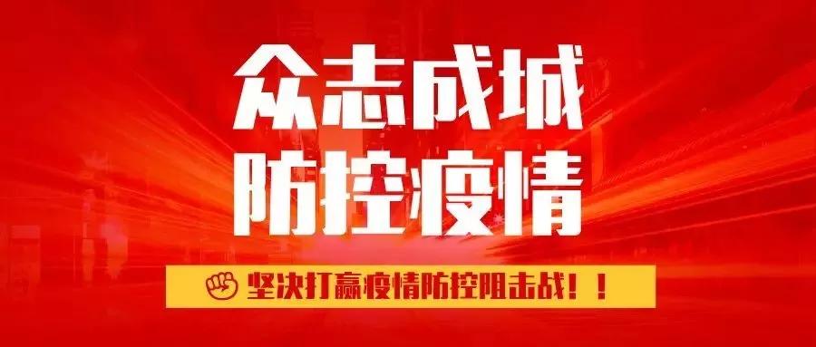 溫馨的午后，肺炎最新進展與日常故事交織的啟示