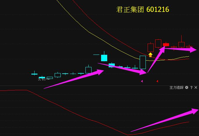 科技前沿進(jìn)展動態(tài)，最新分析揭示601216發(fā)展趨勢