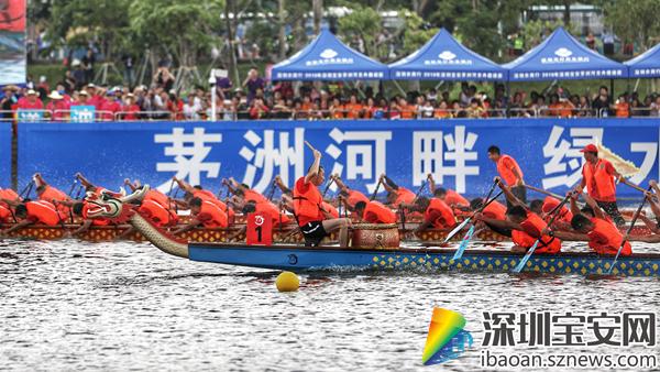 親近自然之旅，2017深圳龍舟比賽的寧靜與激情