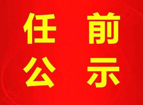 百色最新副處級干部公示,百色最新副處級干部公示——科技革新引領(lǐng)未來，百色干部公示系統(tǒng)全新上線