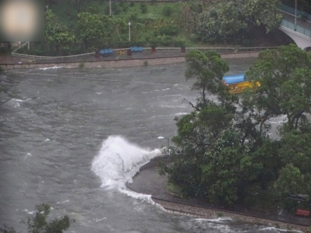 范雨禾